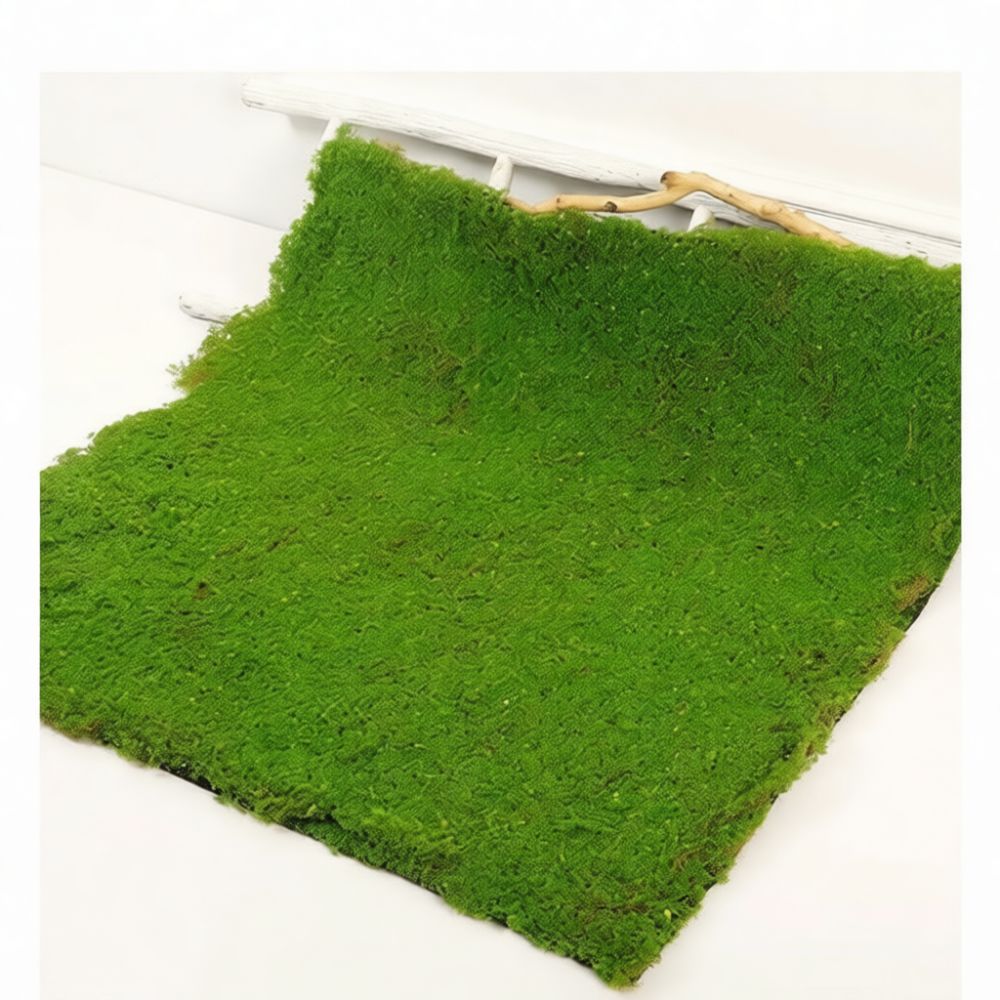 Tapis de gazon artificiel en f - Preserved Moss Sheet avis et prix